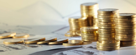 About Shivanya Investments